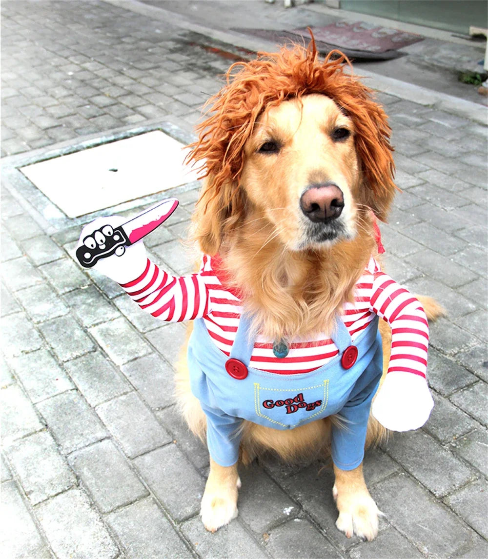 Halloween outfit for dogs