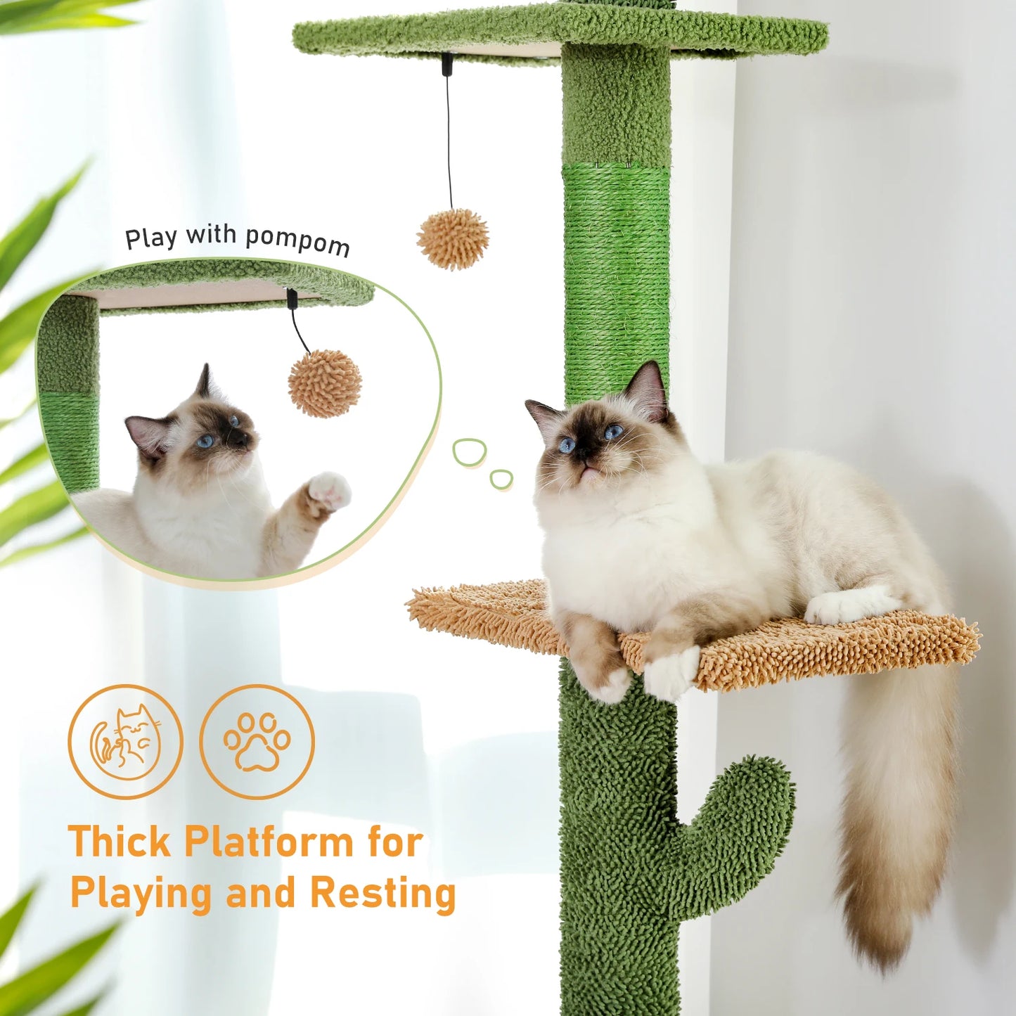 Cactus model cat scratcher