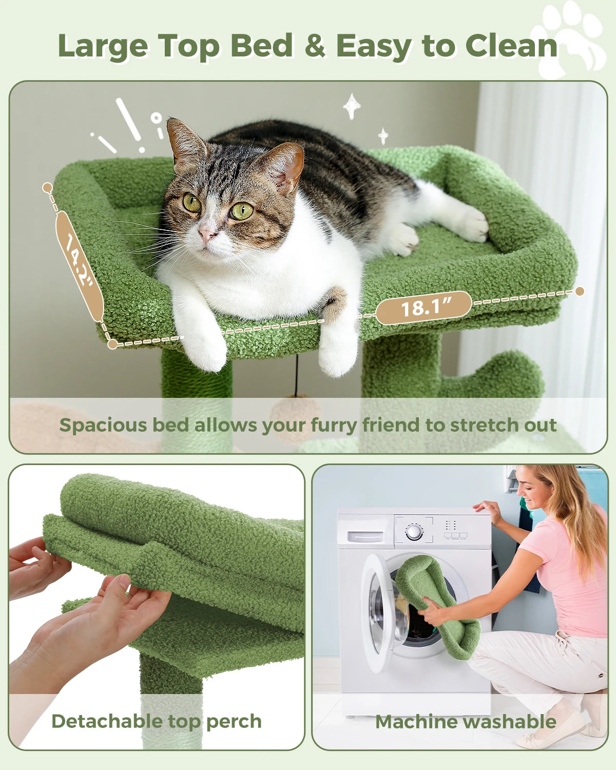 Mutrus model cat scratcher