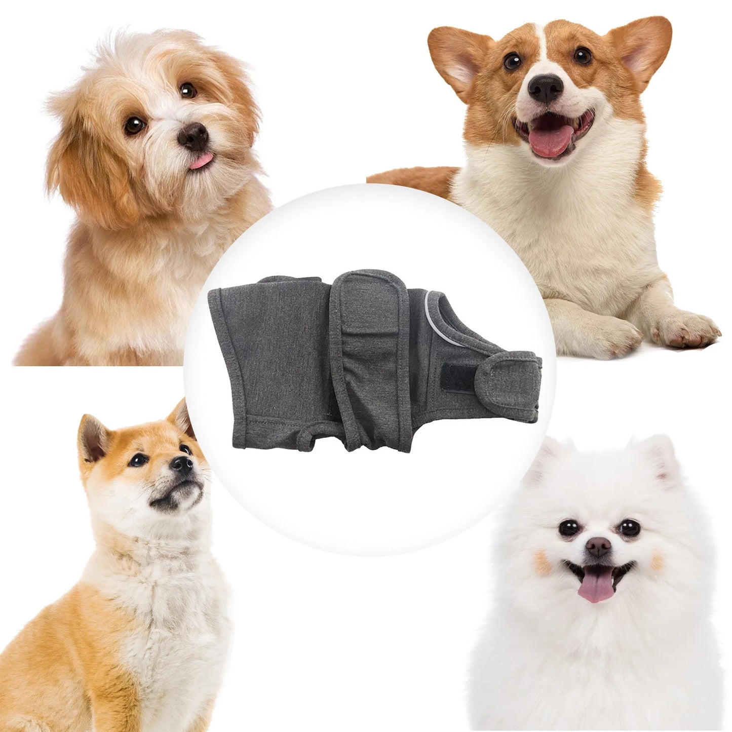 Classic and elegant vest for dogs