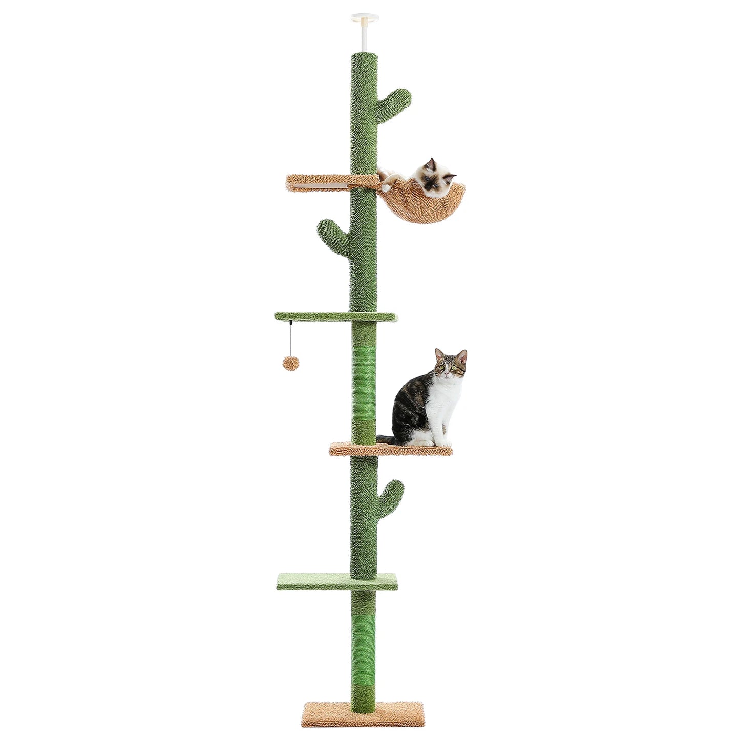 Cactus model cat scratcher