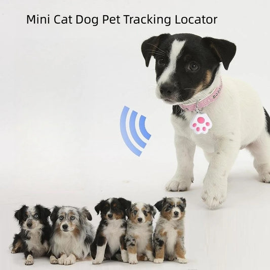 Bluetooth pet tracker