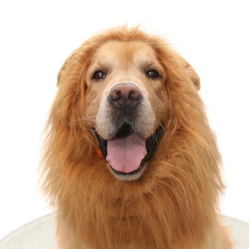 Lion costume for dog