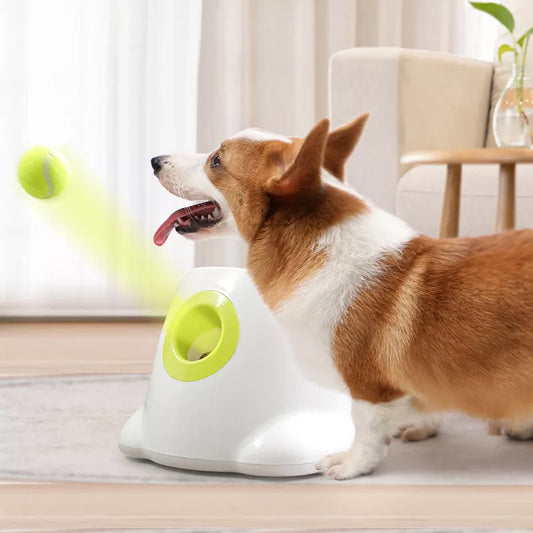 Ball launcher for dogs