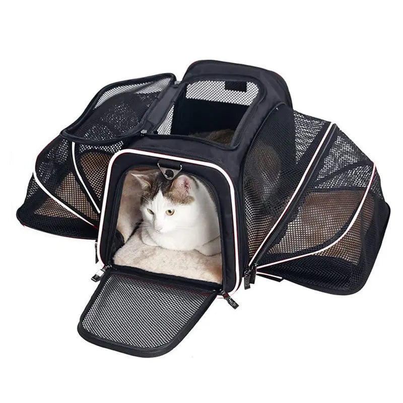 Pet Carrier Backpack