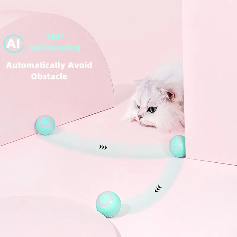 Automatic electric ball for cats